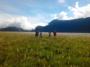 Bromo savanna2  